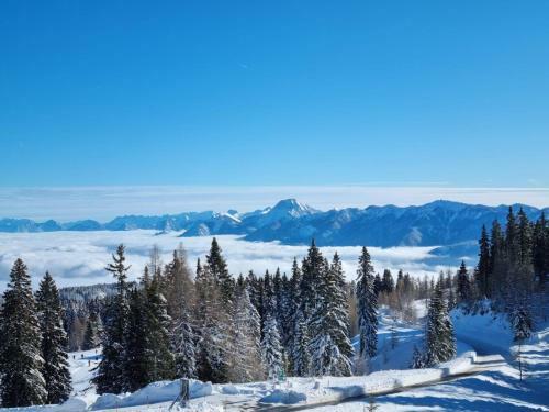 Apartment Und Ferienwohnung Ossiachersee Direkt An