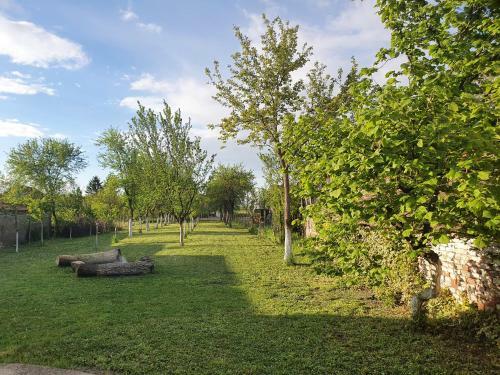 Apartamento Megy