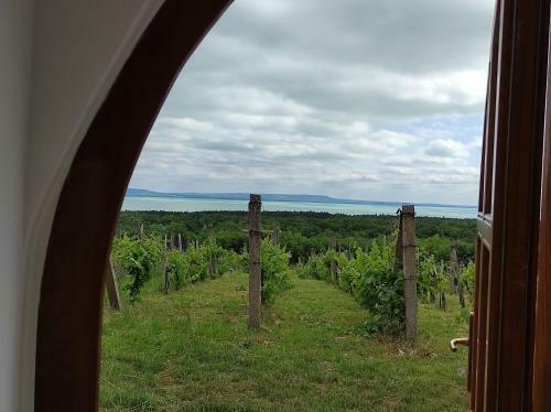 Hostal Naprasz�ll�s Vend�gh�z