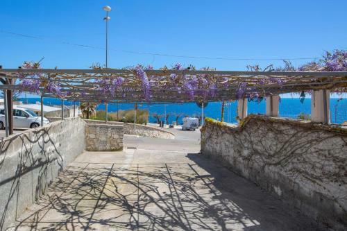 Casa Botte By Barbarhouse