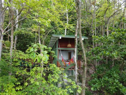 Hotel Casa Gal� - Capurgan�