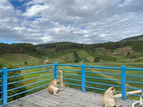 Agroturismo An Khu� Farmhouse