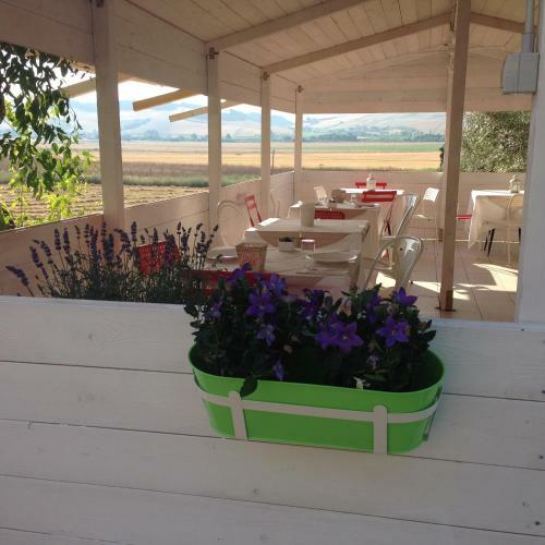 Bed & Breakfast Villa Naumanni