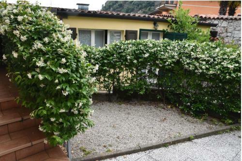 Apartamento Lognomoelafatina