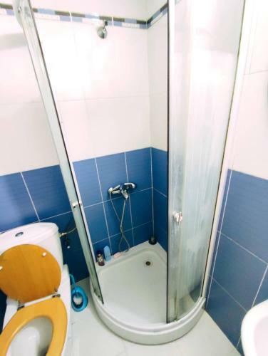 Zlatibor Apartman Mica