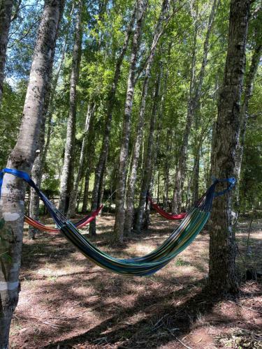 Caba�as Estancia Rayun
