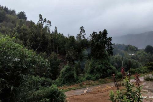 Caba�a En Entorno Natural