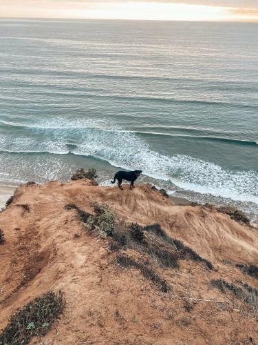 Bed & Breakfast Malibu Hostal Boutique