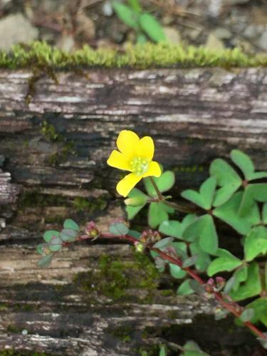 Teng-long Hot Spring Village