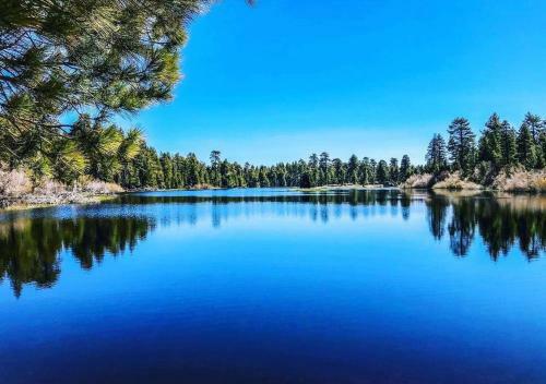 Tranquil Cottage Getaway W/ Huge Deck