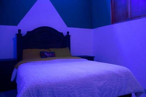 Suites San Crist�bal