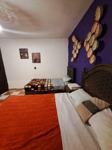 Suites San Crist�bal