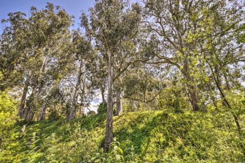 Apartamento Inviting Dtwn Apt Fire Table, Mins To Beach!