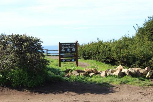 Cooks Beach House Home