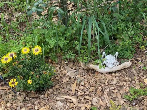 North Dome Homestead - "green" Mountain Luxury