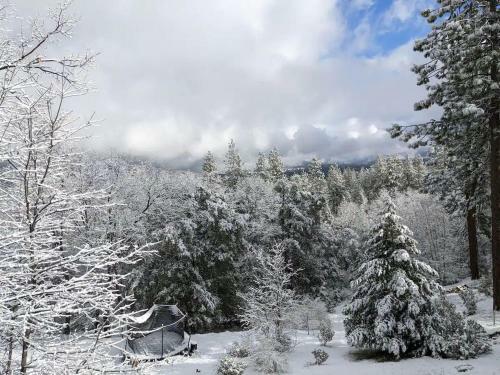 North Dome Homestead - "green" Mountain Luxury