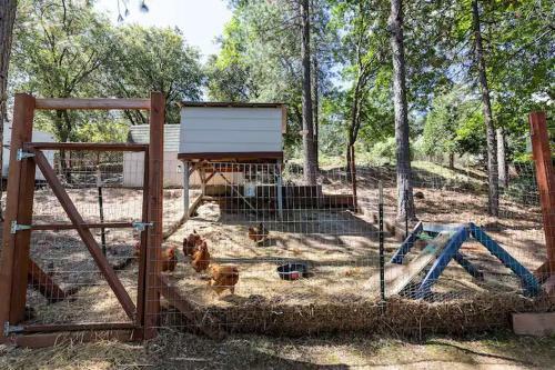 The Chick Inn - Eco-friendly Glamping