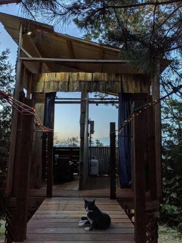 The Chick Inn - Eco-friendly Glamping