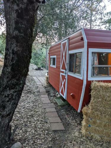 The Chick Inn - Eco-friendly Glamping