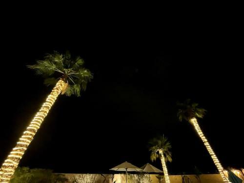 Palm Trees Villa In The Desert