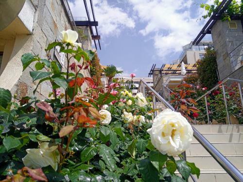 Dolce Vita II Waterfront Breeze Sea View Luxury Apartament