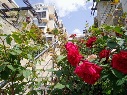 Dolce Vita II Waterfront Breeze Sea View Luxury Apartament
