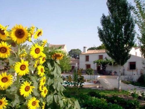 Apartamento Cortijo El Cosio