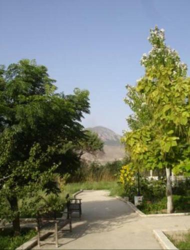 Apartamento Cortijo El Cosio