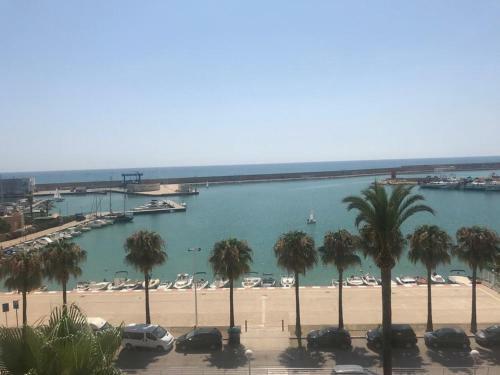 Apartamento Las Palmeras 1