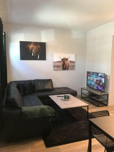 Notodden Sentrum Apartment No 10