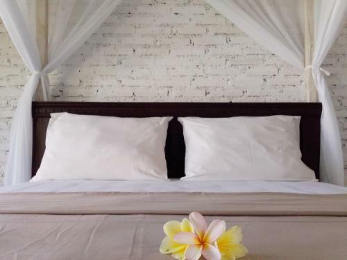 Albergue Jungle House - Surf & Stay