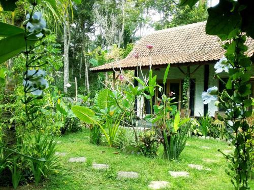 Albergue Jungle House - Surf & Stay