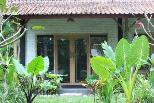 Albergue Jungle House - Surf & Stay