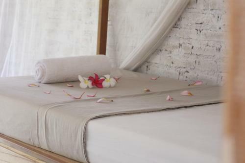 Albergue Jungle House - Surf & Stay