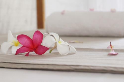 Albergue Jungle House - Surf & Stay