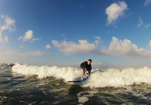 Albergue Jungle House - Surf & Stay
