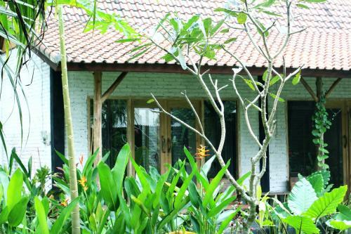 Albergue Jungle House - Surf & Stay