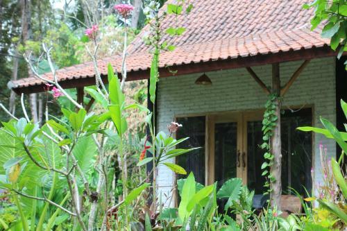 Albergue Jungle House - Surf & Stay