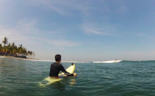 Albergue Jungle House - Surf & Stay