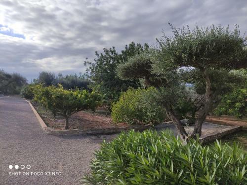 Villa Finca Tierra Roja