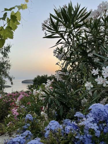 Amazing Villa With Sea Views In Syros Greece