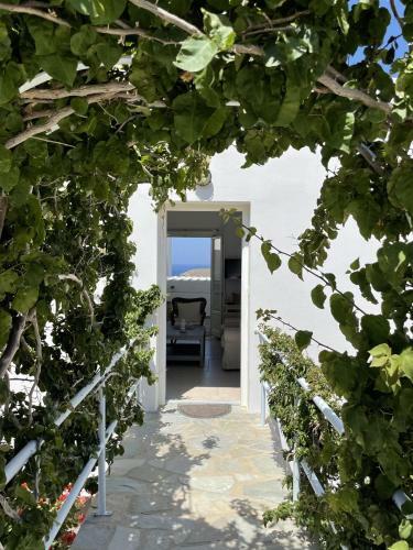 Amazing Villa With Sea Views In Syros Greece
