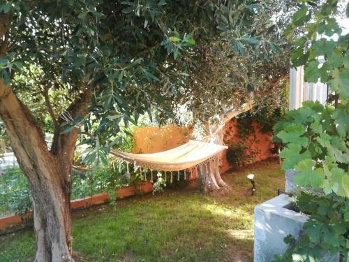 Jannat's Cottage