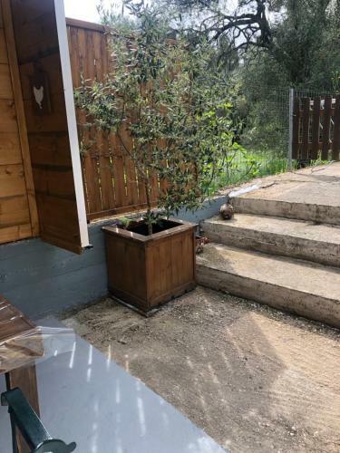 Apartamento Country Flat Maria