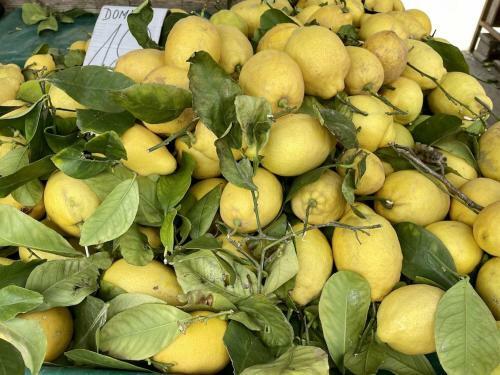 Spacious New Villa With Pool Above The Pristine Beach - First Season Pricing!!!