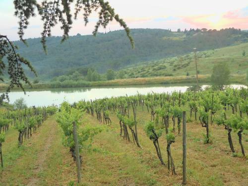 Apartamento Casa Nel Chianti Da Norma
