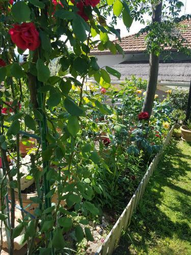 Apartamento Casa Nel Chianti Da Norma