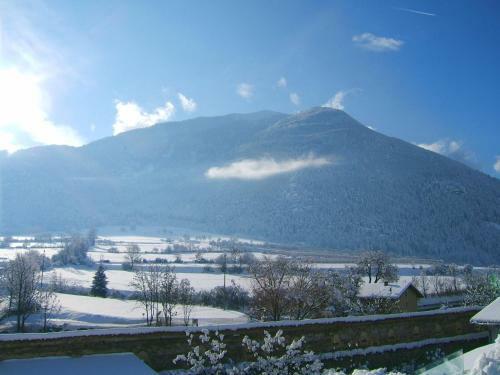 Hotel Gasthof Gr�ner Baum