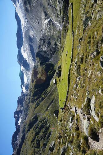 Apartamento Appartements Sonngarten
