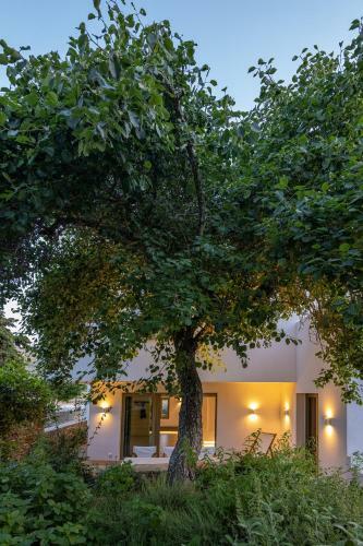 Villa The Ff House